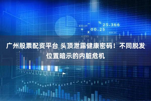 广州股票配资平台 头顶泄露健康密码！不同脱发位置暗示的内脏危机