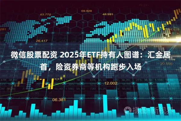 微信股票配资 2025年ETF持有人图谱：汇金居首，险资券商等机构跑步入场