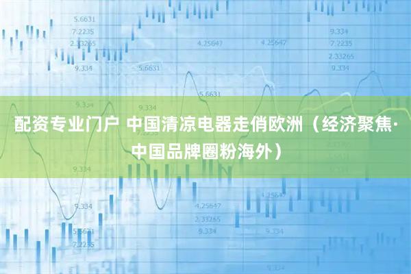 配资专业门户 中国清凉电器走俏欧洲（经济聚焦·中国品牌圈粉海外）